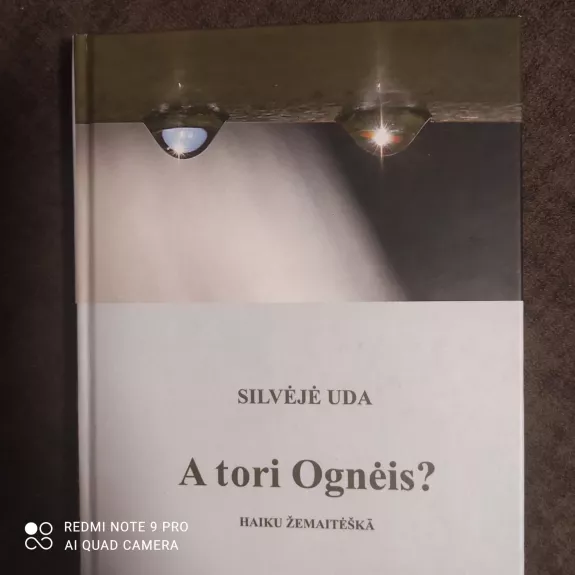 A tori Ogneis?