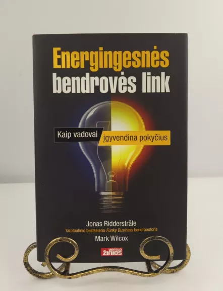 Energingesnės bendrovės link: kaip vadovai įgyvendina pokyčius