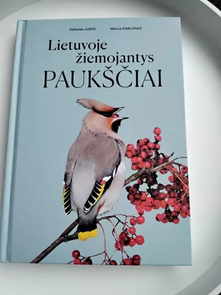 Lietuvoje žiemojantys paukščiai