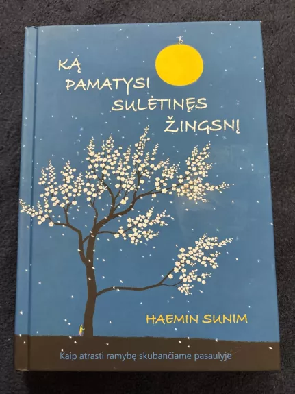 Ką pamatysi sulėtinęs žingsnį