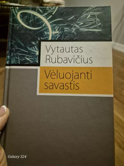 Vėluojanti savastis