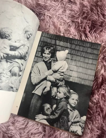 Vilniaus šiokiadieniai