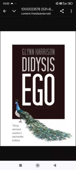 Didysis ego: tikroji asmens svarba ir savivertės kultūra