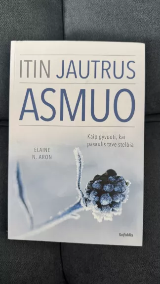ITIN JAUTRUS ASMUO
