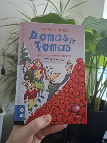 Domas ir Tomas.Dingusių mandarinų byla