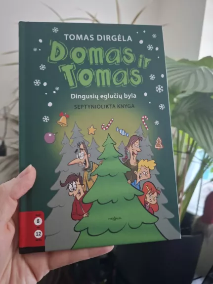 Domas ir Tomas. Dingusių eglučių byla. 17 knyga