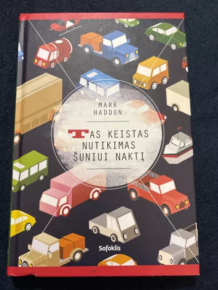 Tas keistas nutikimas šuniui naktį