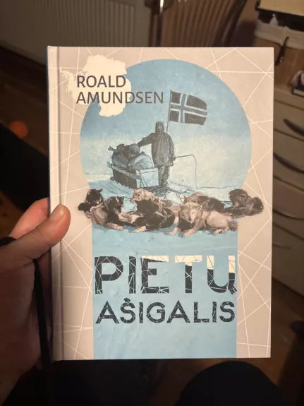 Pietų ašigalis