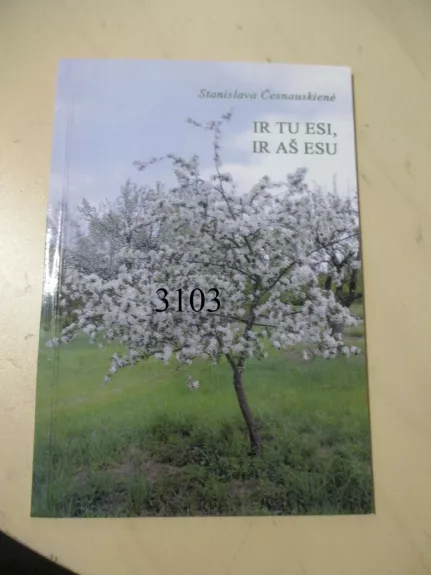 Ir tu esi, ir aš esu