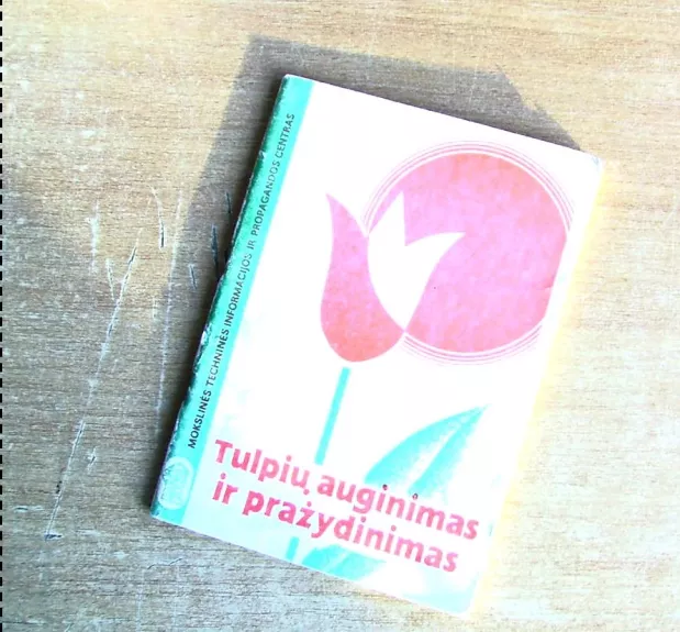 Tulpių auginimas ir pražydinimas