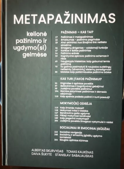 Metapažinimas. Kelionė pažinimo ir ugdymo(si) gelmėse