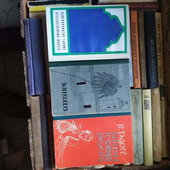 Krislelis. Namai ir pasaulis. Atsisveikinimo naktis