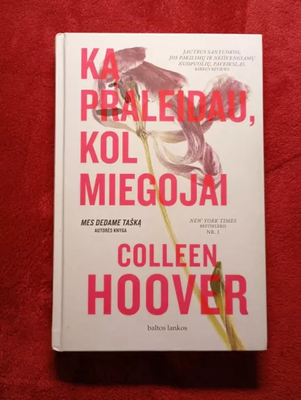 Ką praleidau, kol miegojai