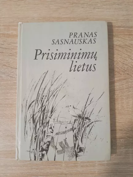 Prisiminimų lietus