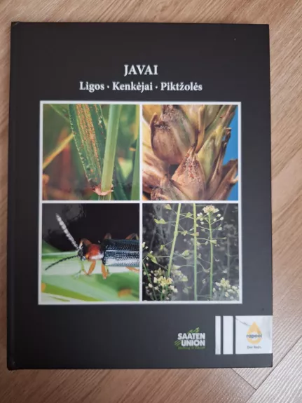 Javai. Ligos. Kenkėjai. Piktžolės