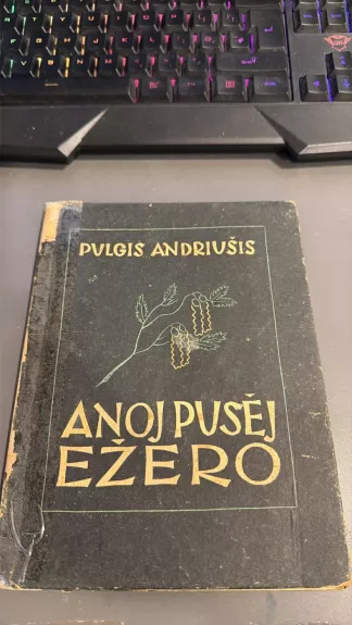 Anoj pusėj ežero