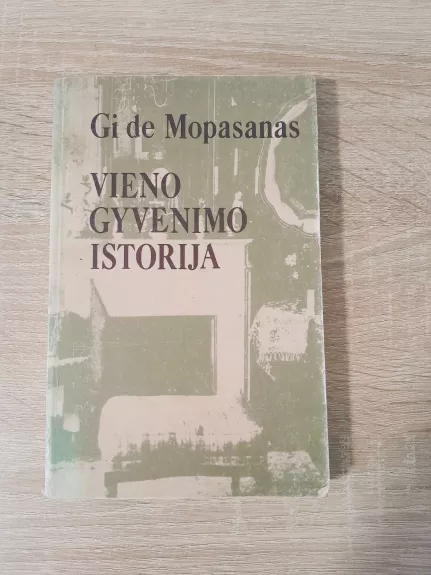 Vieno gyvenimo istorija