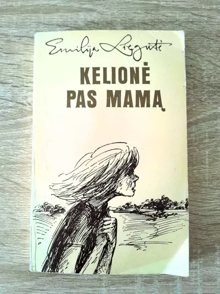 Kelionė pas mamą