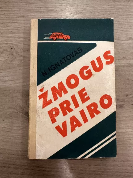 Žmogus prie vairo