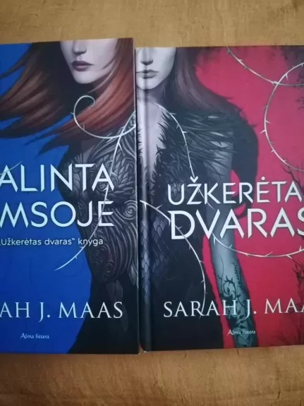 ĮKALINTA TAMSOJE IR UŽKERĖTAS DVARAS