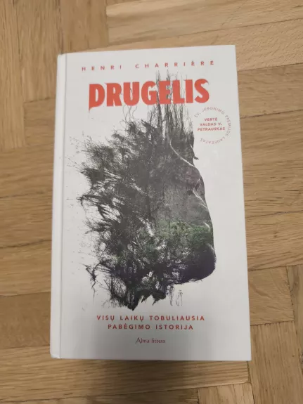 Drugelis