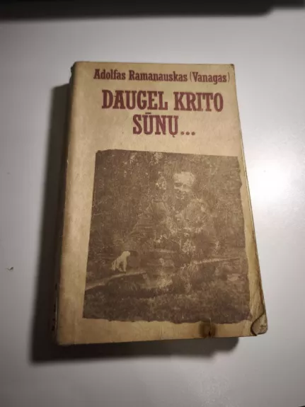 Daugel krito sūnų...