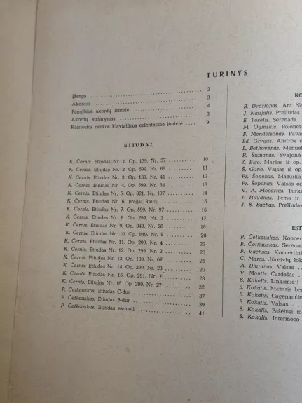 P. Četkauskas – „Akordeonistas“