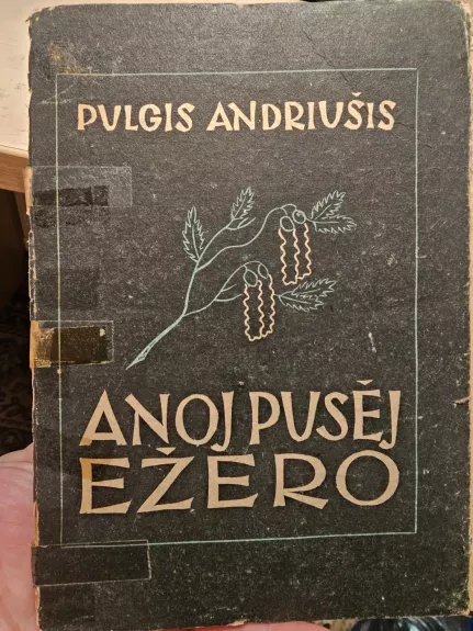 Anoj pusėj ežero