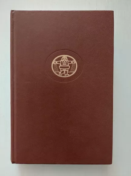 Prarasto laiko beieškant. Svano pusėje