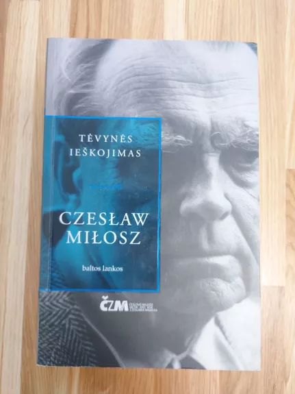 Tėvynės ieškojimas