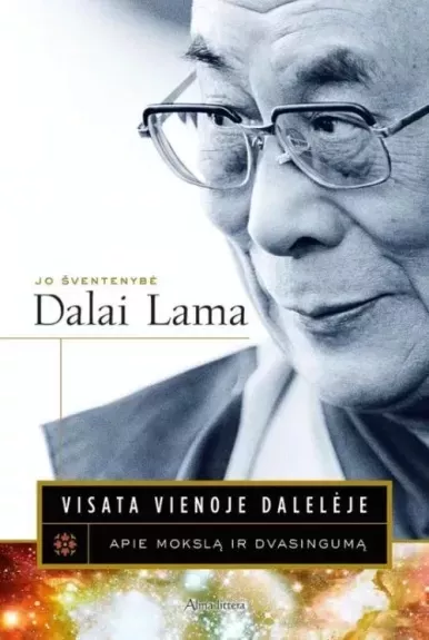 Visata vienoje dalelėje