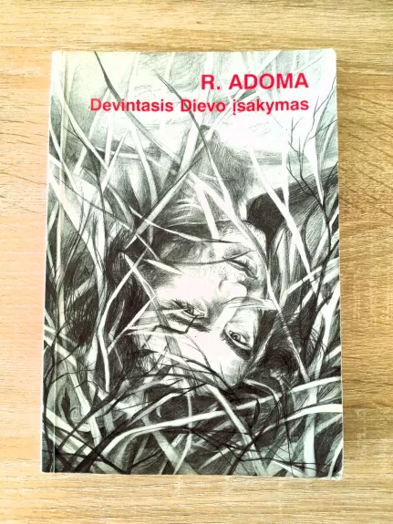 Devintasis Dievo įsakymas