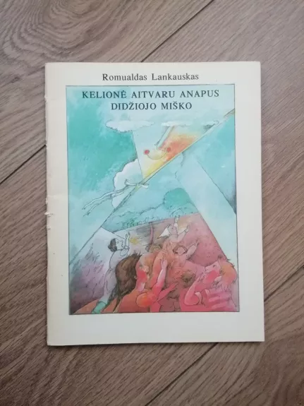 Kelionė aitvaru anapus didžiojo miško