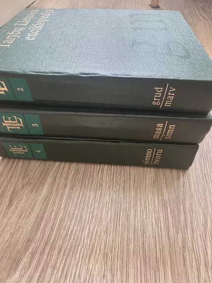 Tarybų Lietuvos encikopedija