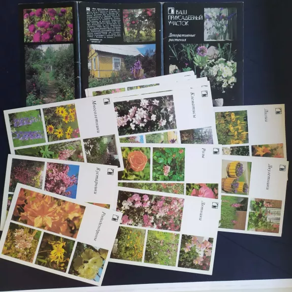 Dekorativnye rastenie