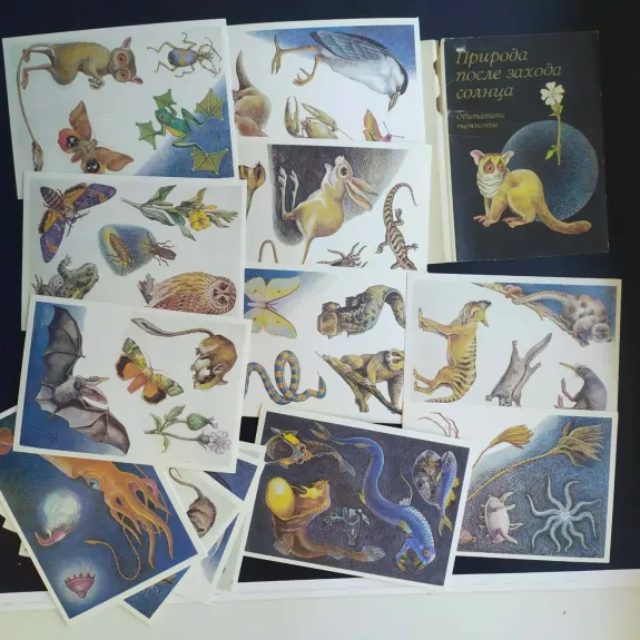 Priroda posle zachoda solnca