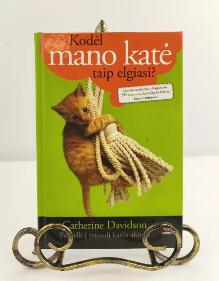 Kodėl mano katė taip elgiasi? Pažvelk į pasaulį katės akimis