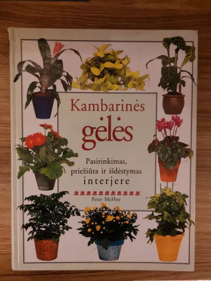 Kambarinės gėlės. Pasirinkimas, priežiūra ir išdėstymas interjere