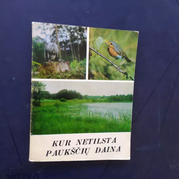 Kur netilsta paukščių daina