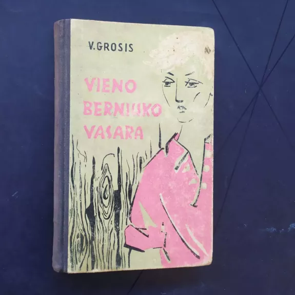 Vieno berniuko vasara