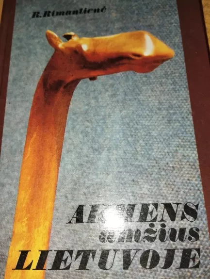 Akmens amžius Lietuvoje