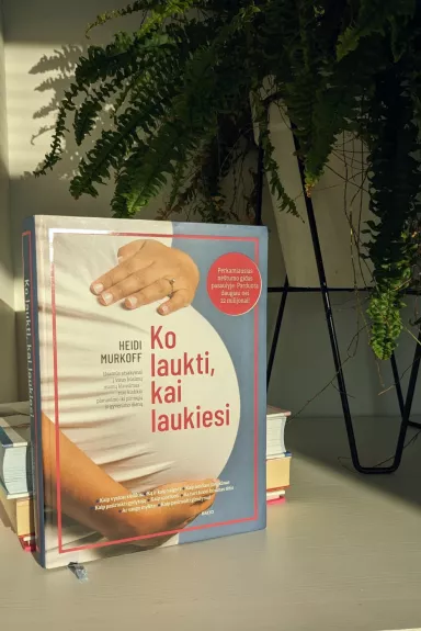 Ko laukti, kai laukiesi