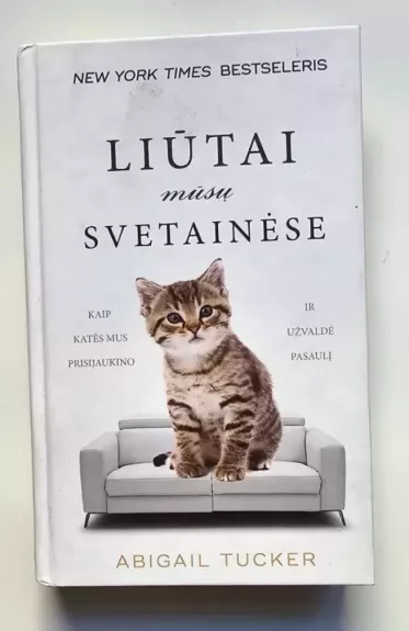 Liūtai mūsų svetainėse