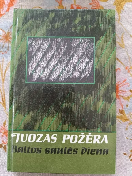 Baltos saulės diena