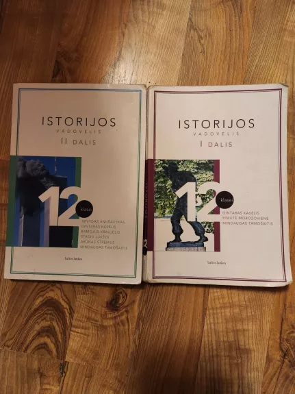 Istorijos vadovėlis 12 klasei