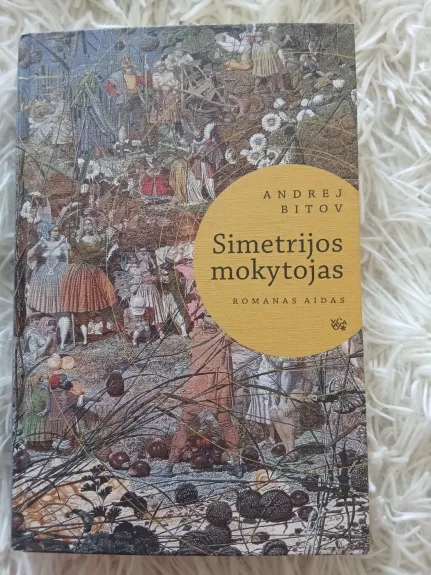 Simetrijos mokytojas