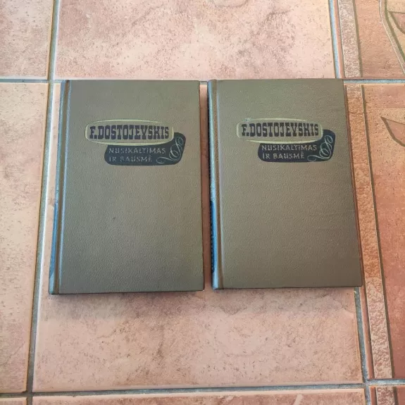 Nusikaltimas ir bausmė (2 knygos)