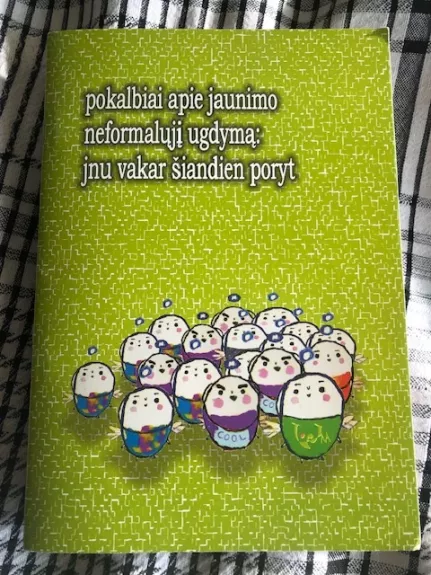 Pokalbiai apie jaunimo neformalųjį ugdymą: JNU vakar šiandien poryt