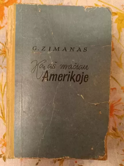 Ką aš mačiau Amerikoje