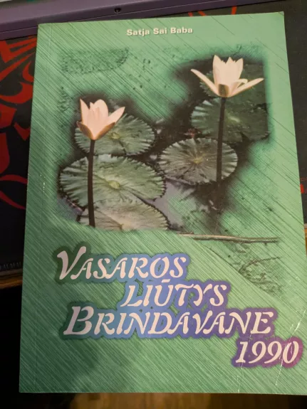 Vasaros liūtys Brindavane 1990